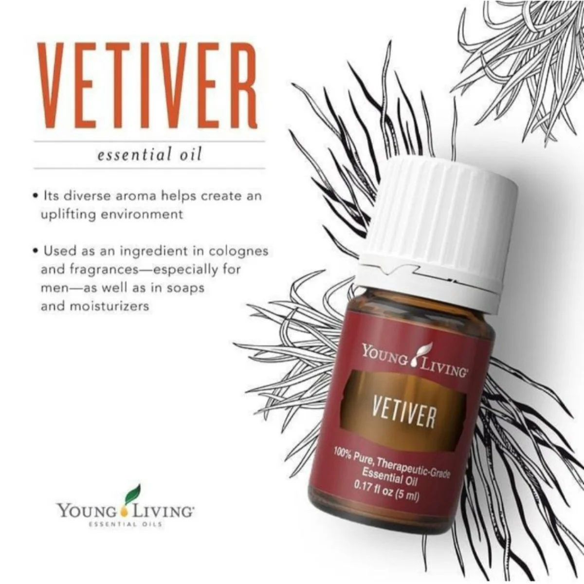 Aceite Esencial de Vetiver — imagen 3
