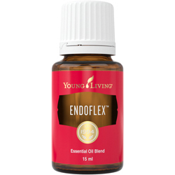 EndoFlex — imagen 2